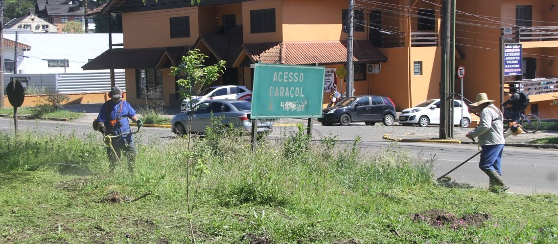Roçada 235 1