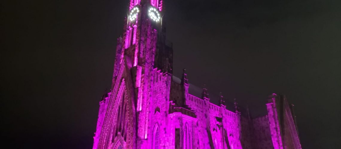 Catedral Rosa