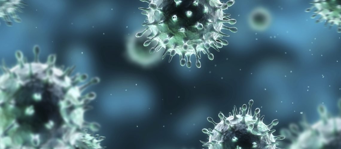 h1n1 virus